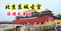 给我找黄色的找黄色的男人跟女人视频看看给我找个黄色的黄色的男人跟女人两个中国北京-东城古宫旅游风景区